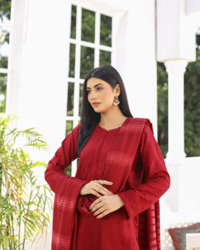 3 piece Dhanak Suit-Embroidered (Pret)