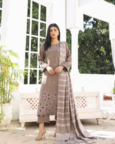 3 piece Dhanak Suit-Embroidered (Pret)