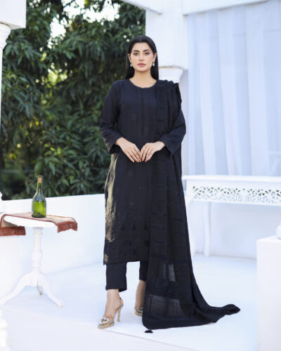 3 piece Dhanak Suit-Embroidered (Pret)